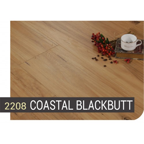 Coastal Blackbutt